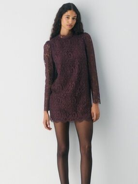 Wilfred / Aritzia Augustine Lace Long-Sleeve Mini Dress in Cardamon